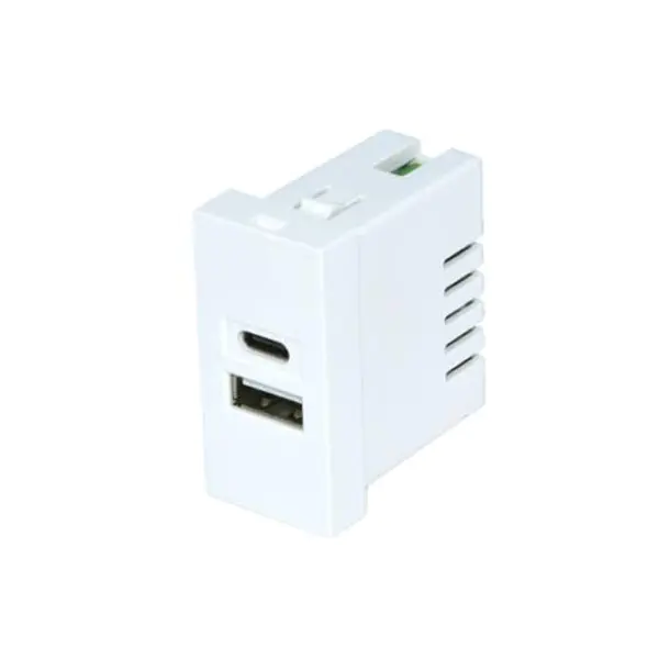 Twin Port TypeA + C Usb Charger Socket Modulu