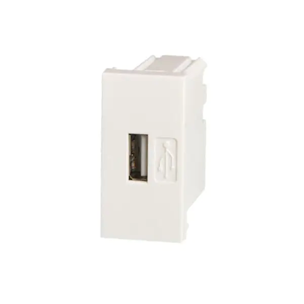 Modulu tas-Socket tal-Ċarġer tal-Usb għall-istandard Legrand